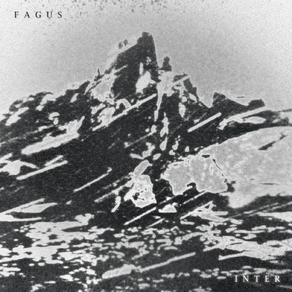 FAGUS - INTER