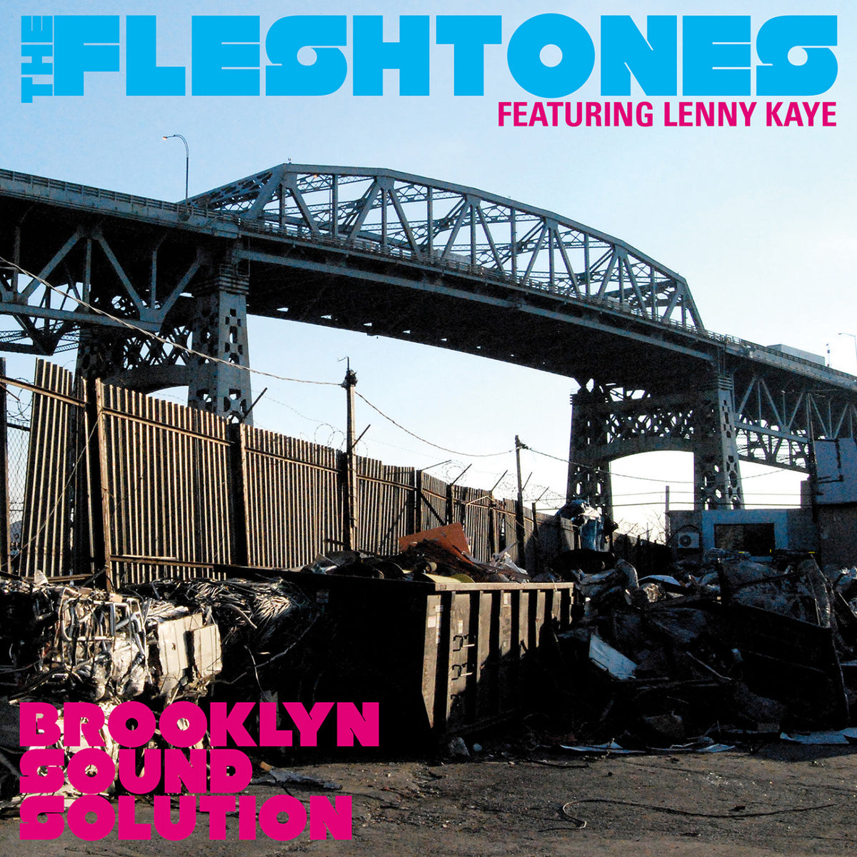 FLESHTONES, THE - BROOKLYN SOUND SOLUTION
