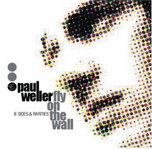 WELLER, PAUL - FLY ON THE WALL