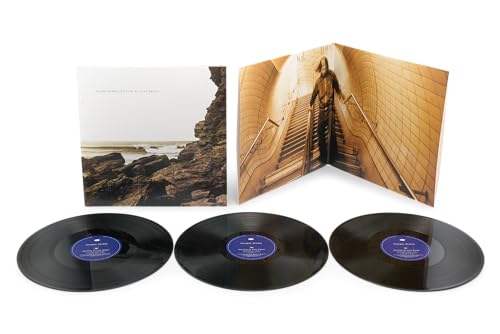 POLYGON WINDOW - SURFING ON SINE WAVES (EXPANDED EDITION) (VINYL)