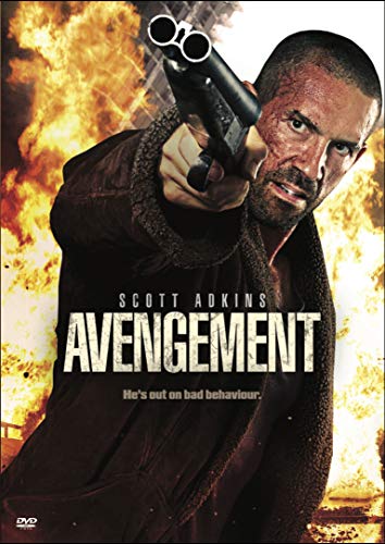 AVENGEMENT - DVD