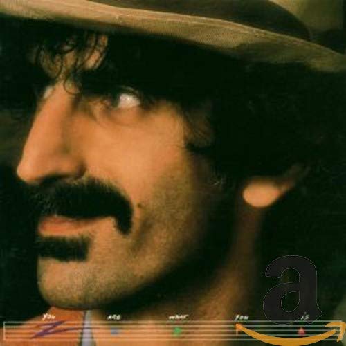 FRANK ZAPPA - YOU ARE WHAT YOU IS