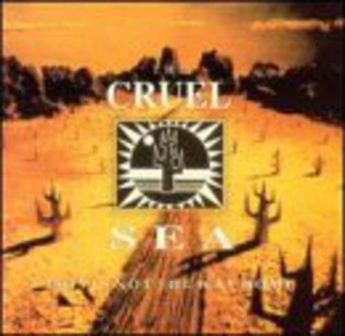 CRUEL SEA - THIS IS NOT THE WAY HOME