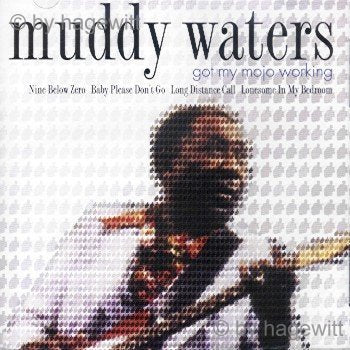 MUDDY WATERS - GOT MY MOJO WORKING