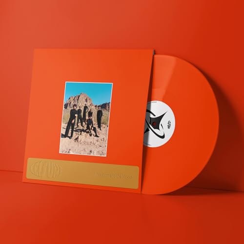WELCOME TO THE MOOD (VINYL)