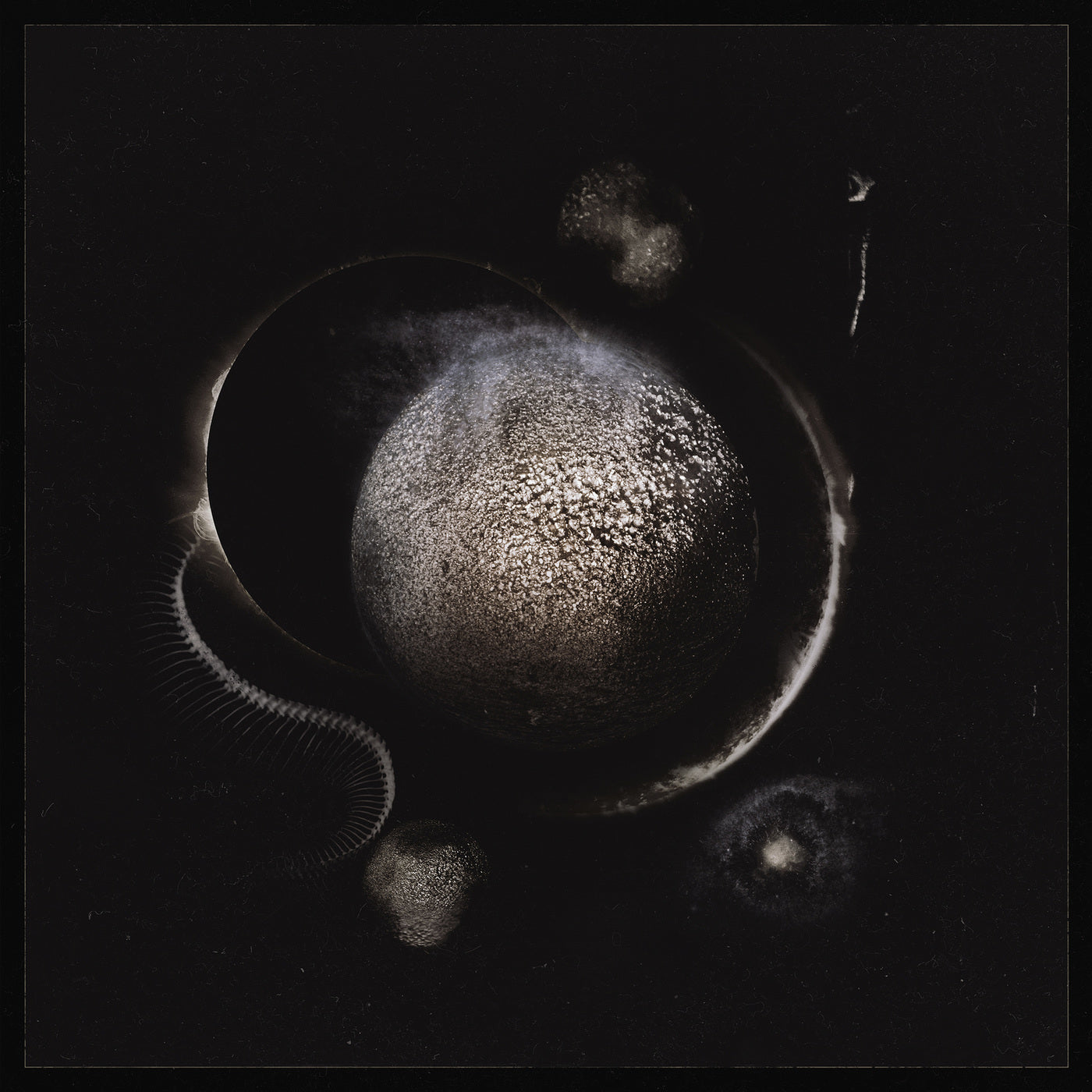 ENTHRONED  - COLD BLACK SUNS