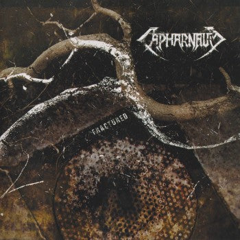 CAPHARNAUM  - FRACTURED