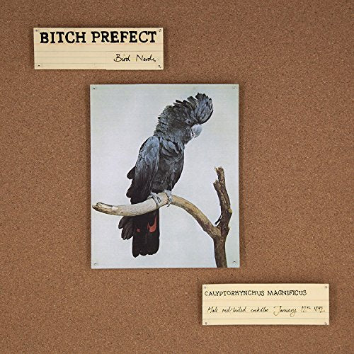 BITCH PREFECT - BIRD NERDS (CD)
