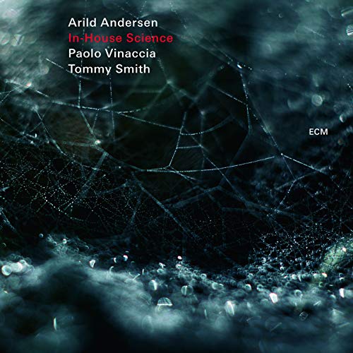 ANDERSEN, ARILD - IN-HOUSE SCIENCE (CD)