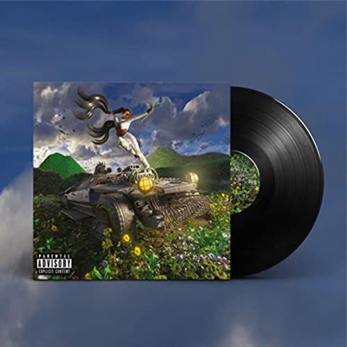 MAIDZA,TKAY - LAST YEAR WAS WEIRD: VOL. 3 (VINYL)