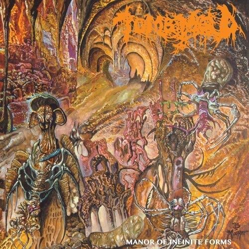 TOMB MOLD - MANOR OF INFINITE FORMS (VINYL)