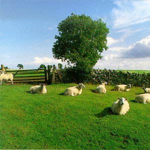 KLF - CHILL OUT (CD)