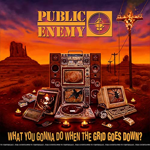 PUBLIC ENEMY - WHAT YOU GONNA DO WHEN THE GRID GOES DOWN? (VINYL)