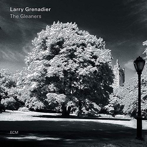 GRENADIER, LARRY - THE GLEANERS (CD)