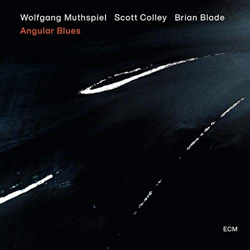 WOLFGANG MUTHSPIEL, SCOTT COLLEY, BRIAN BLADE - ANGULAR BLUES (CD)