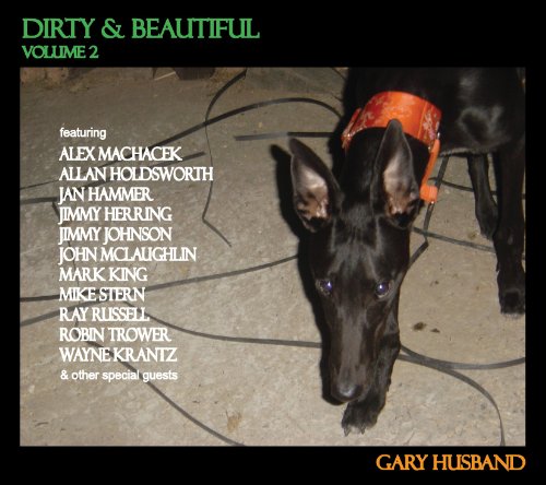 HUSBAND, GARY - DIRTY & BEAUTIFUL VOL. 2 (CD)