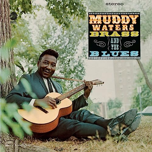 MUDDY WATERS - MUDDY, BRASS & THE BLUES (VINYL)
