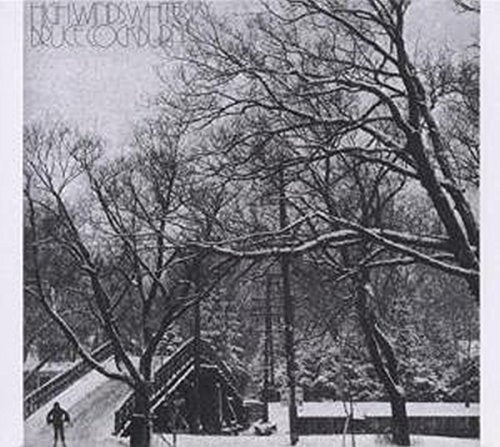 BRUCE COCKBURN - HIGH WINDS WHITE SKY (CD)