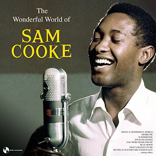 COOKE,SAM - WONDERFUL WORLD OF SAM COOKE (VINYL)