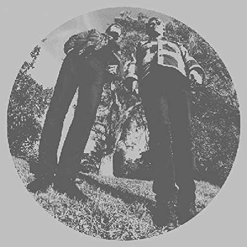 SEGALL, TY & WHITE FENCE - HAIR (VINYL)