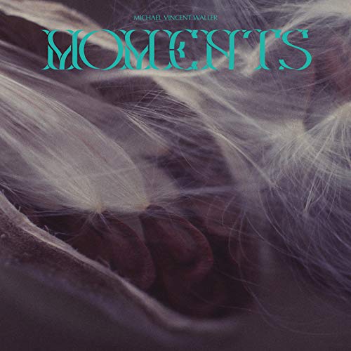 MICHAEL VINCENT WALLER - MOMENTS (VINYL)