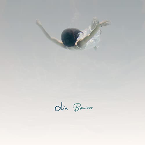 DIA FRAMPTON - BRUISES (CD)