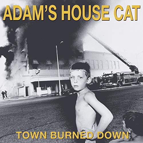 ADAM'S HOUSE CAT - TOWN BURNED DOWN (VINYL)