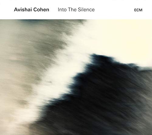 COHEN, AVISHAI - INTO THE SILENCE (CD)