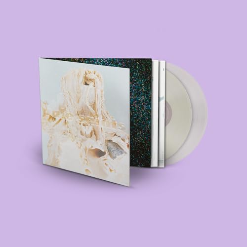 PALE SAINTS - IN RIBBONS (DELUXE EDITION/2LP)