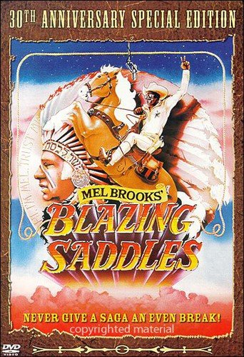 BLAZING SADDLES:30ANN SE (DVD)