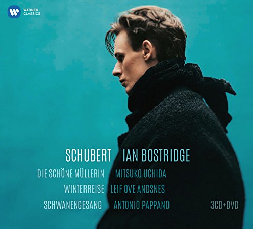 BOSTRIDGE - 3 SONG CYCLES (CD)