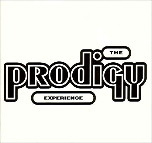 PRODIGY - EXPERIENCE (VINYL)
