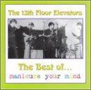 13TH FLOOR ELEVATORS - BEST OF: MANICURE YOUR MIND