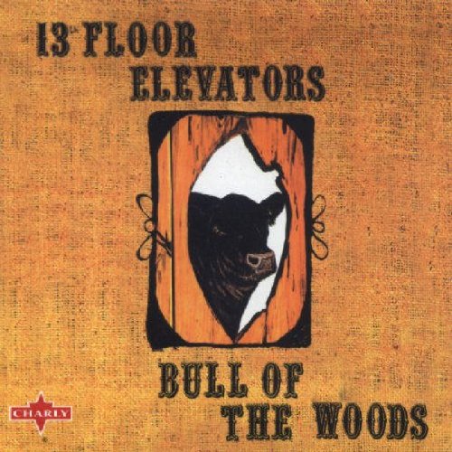 13TH FLOOR ELEVATORS - 13TH FLOOR ELEVATORS - BULL OF THE WOODS