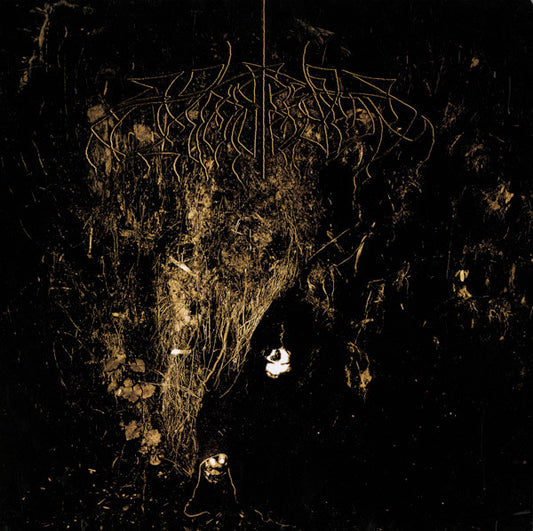 Wolves In The Throne - Two Hunters (Used LP)
