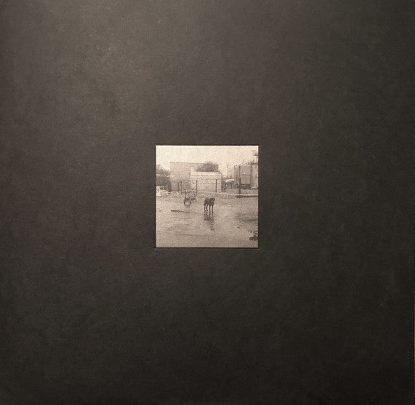 Nivhek ‎– After Its Own Death / Walking In A Spiral Towards The House (Used LP)