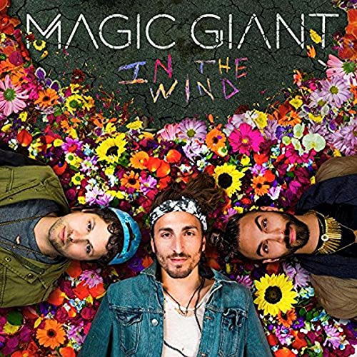 MAGIC GIANT - IN THE WIND (CD)