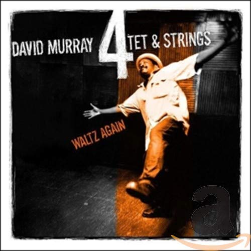 MURRAY, DAVID - WALTZ AGAIN (CD)