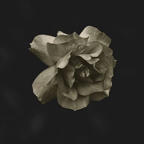 GLDMTH - GLDMTH (CD)