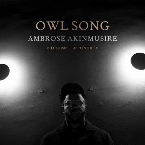 AMBROSE AKINMUSIRE - OWL SONG (CD)