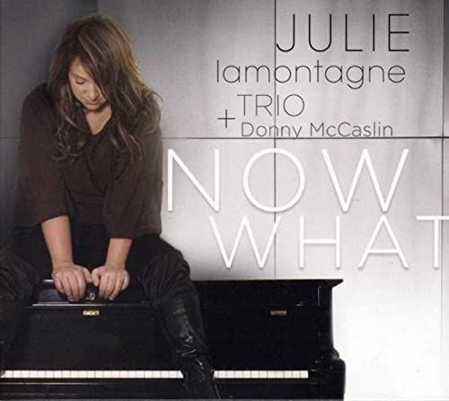 LAMONTAGNE, JULIE TRIO - NOW WHAT (CD)