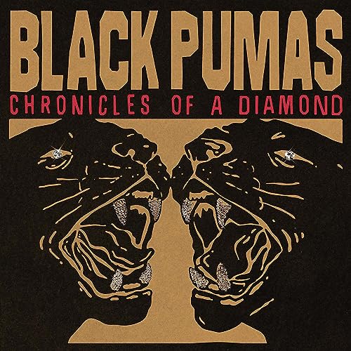 BLACK PUMAS - CHRONICLES OF A DIAMOND (CD)