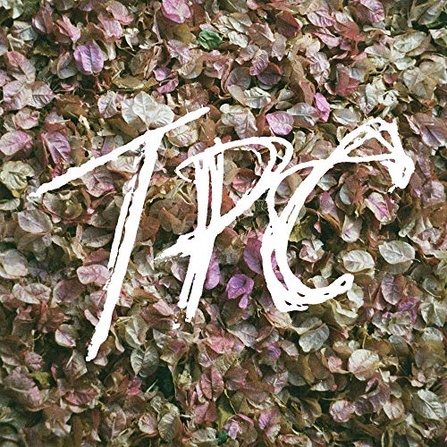 TOKYO POLICE CLUB - TPC (CD)