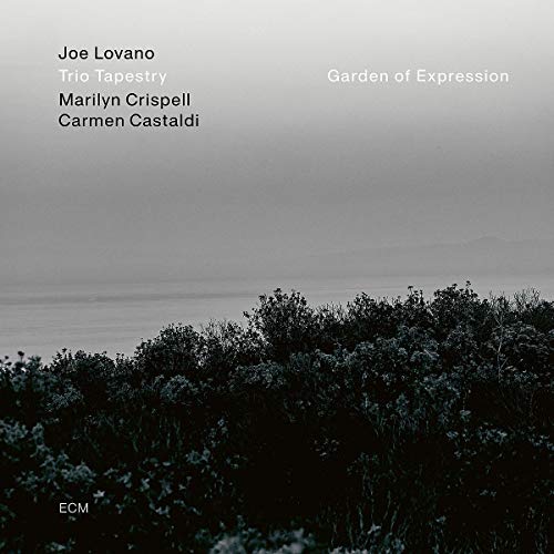 JOE LOVANO, MARILYN CRISPELL, CARMEN CASTALDI - GARDEN OF EXPRESSION (VINYL)