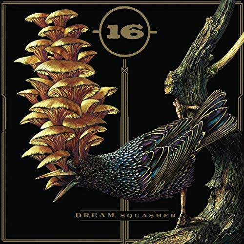 16 - DREAM SQUASHER (VINYL)