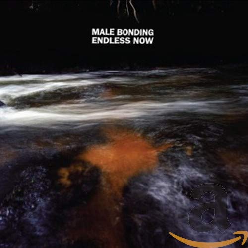 MALE BONDING - ENDLESS NOW (CD)